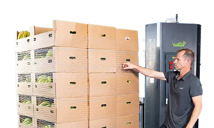 pallet wrapping machine using ventilation net