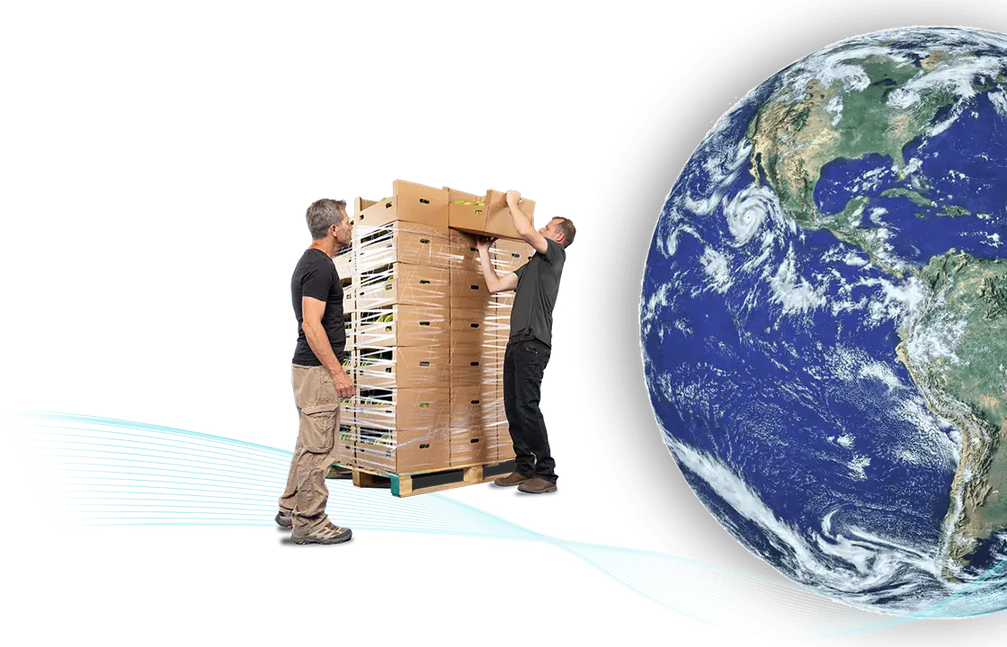 Envolturas avanzadas para palets